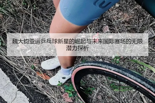 魏大钧亚运乒乓球新星的崛起与未来国际赛场的无限潜力探析